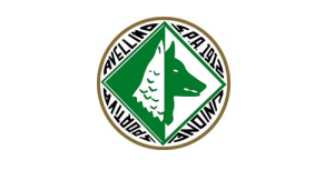 nuovo logo Us Avellino 1912