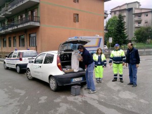 derattizzazione1