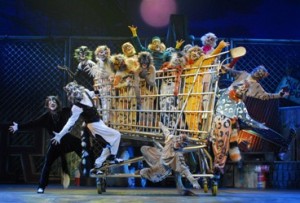 cats_compagniadellarancia_5