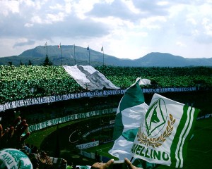 stadio-avellino