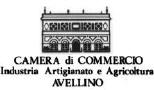 camera-di-commercio-avellino