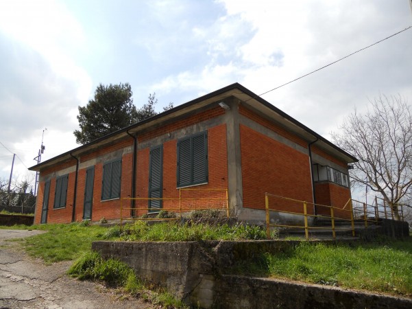 scuola-san-gregorio