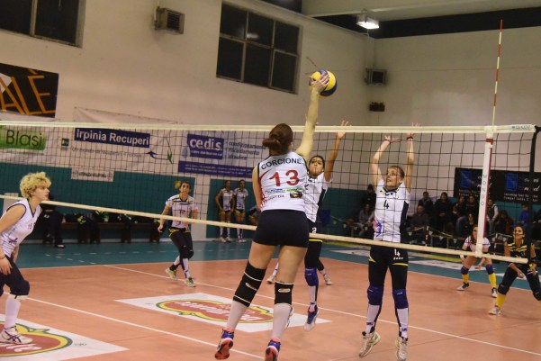 Grenn Volley - Alborea